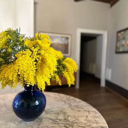 Domus An- Two Bedrooms Apartment -Antique And Historical Home 锡耶纳 外观 照片
